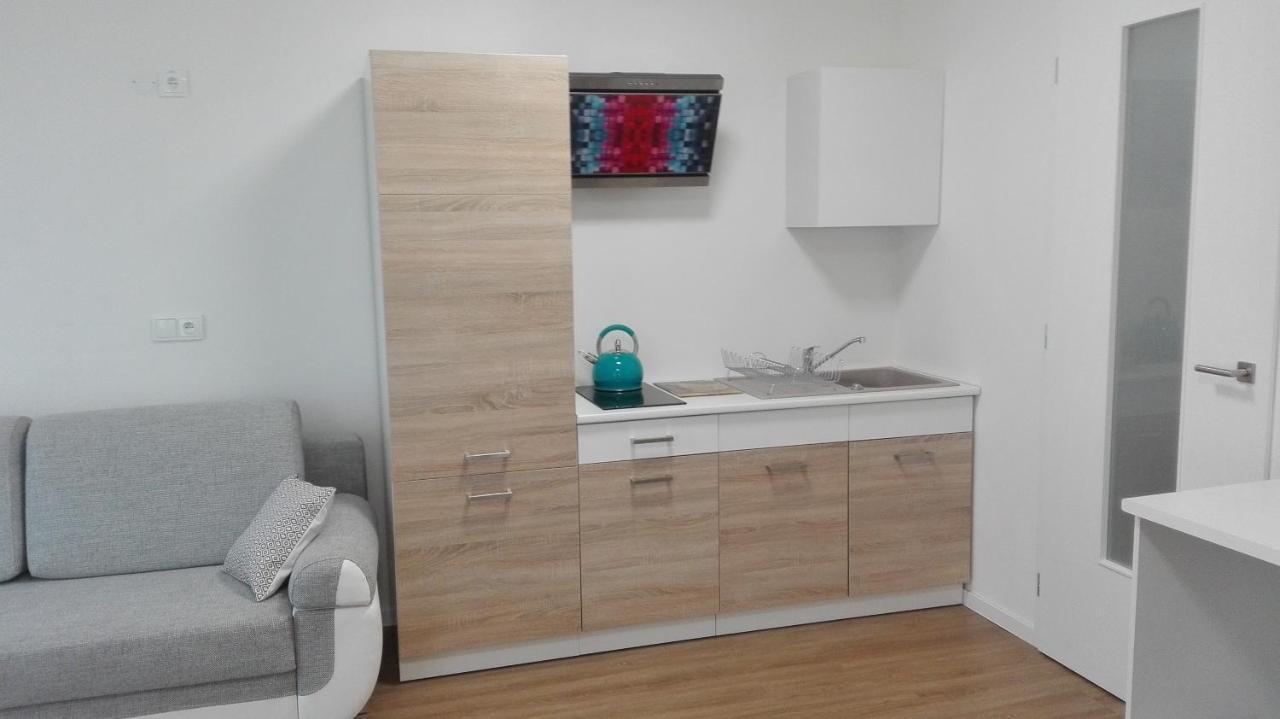 Apartment Brno Centrum With Private Parking 外观 照片